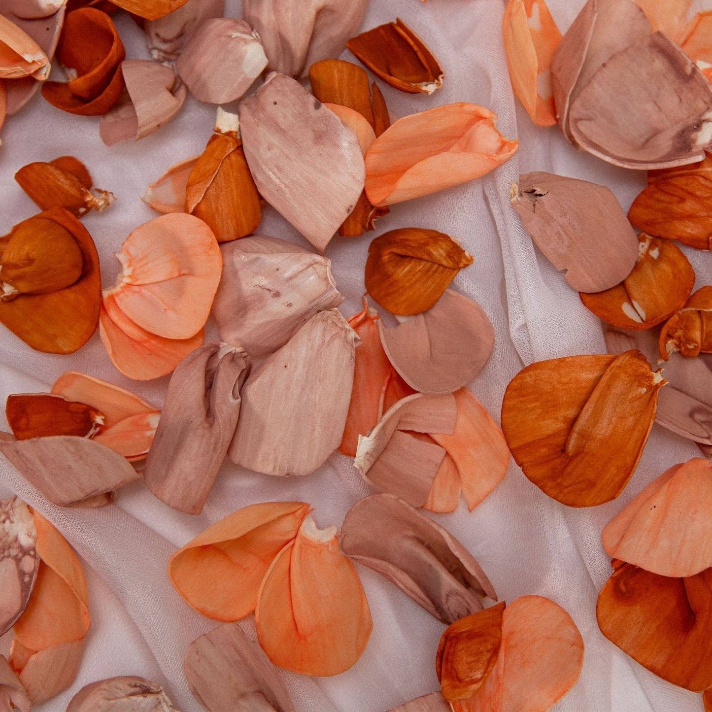 100 Petal Pack - Luminous