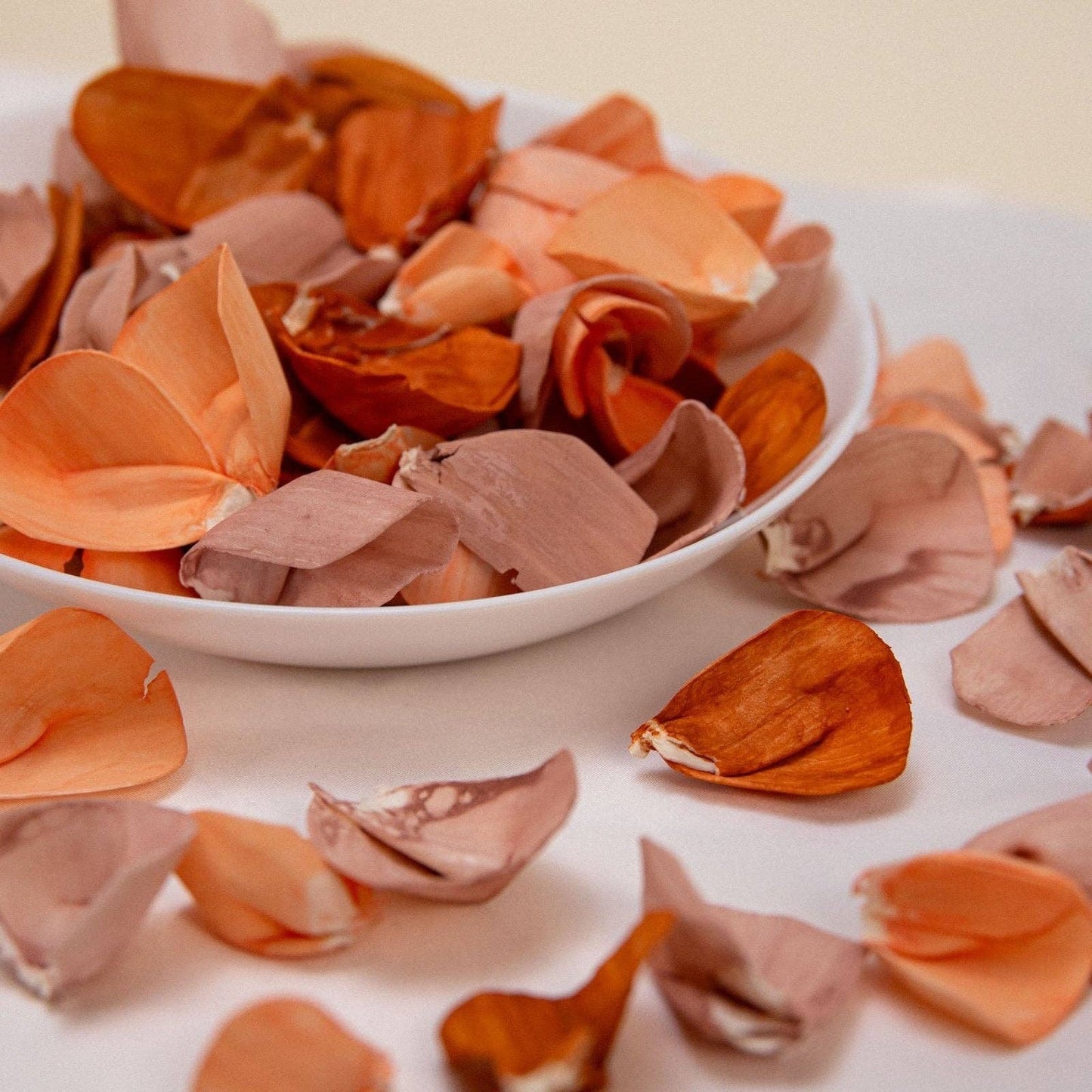 100 Petal Pack - Luminous