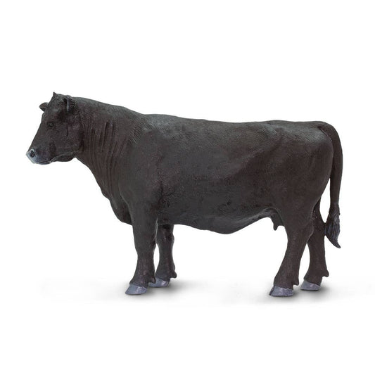 Angus Cow - 160829