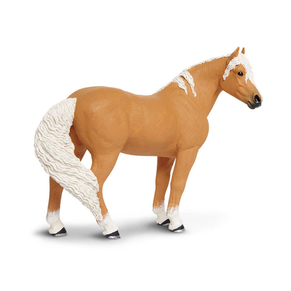 Palomino Mare - 150505