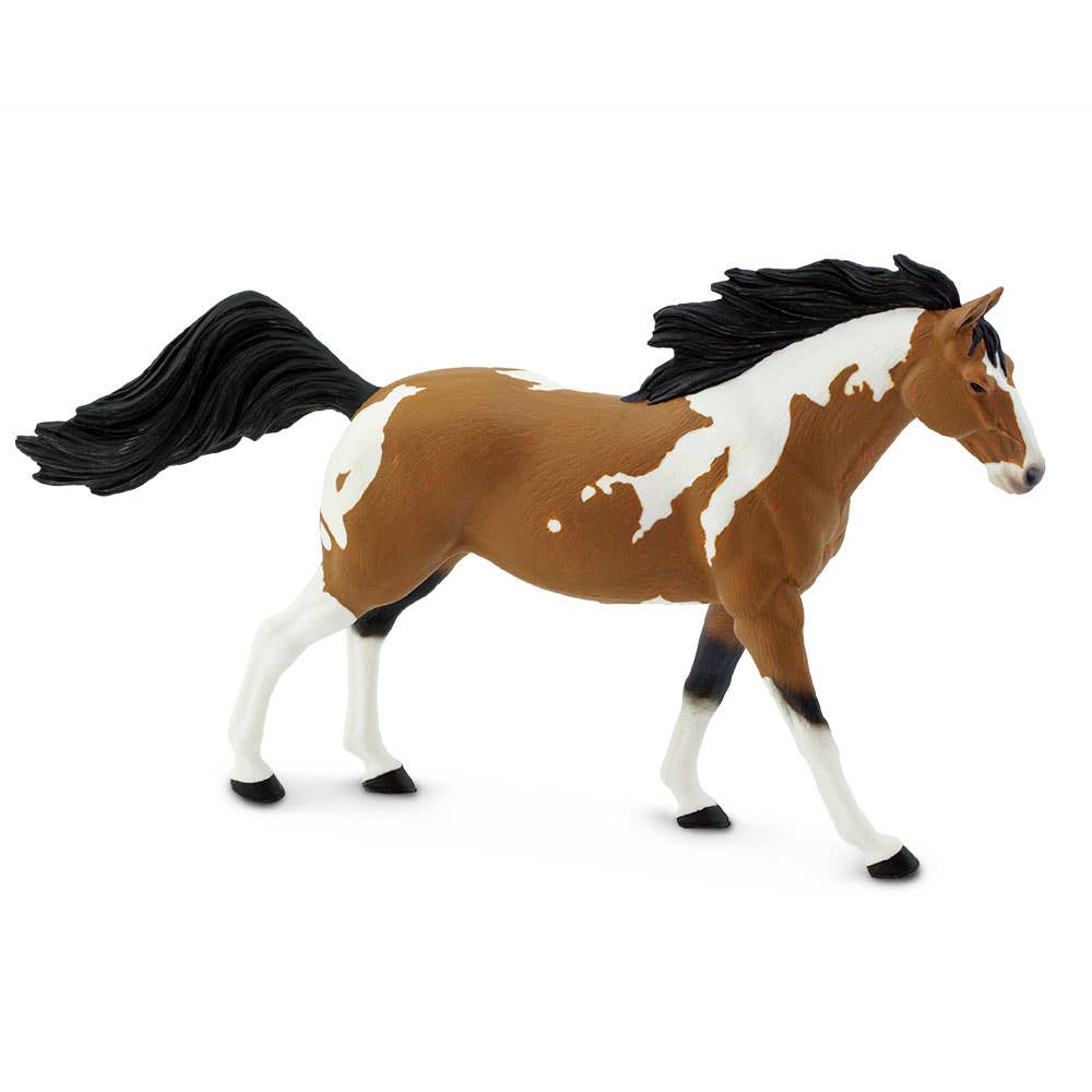 Pinto Mustang Stallion - 152405