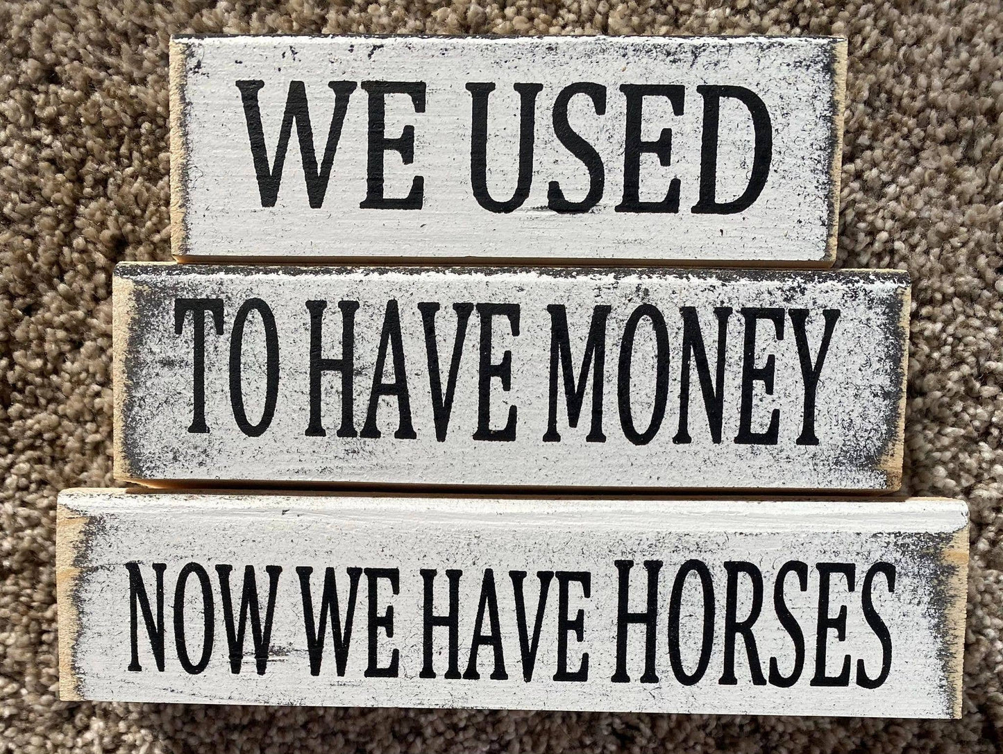 WE USED TO HAVE M-NEY NOW WE HAVE HORSES