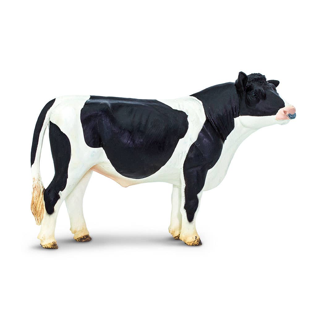 Holstein Bull - 246929