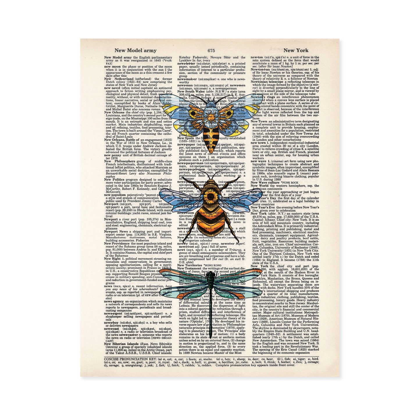 Bugs Sweet Moth Bee and Dragonfly Dictionary Page Art