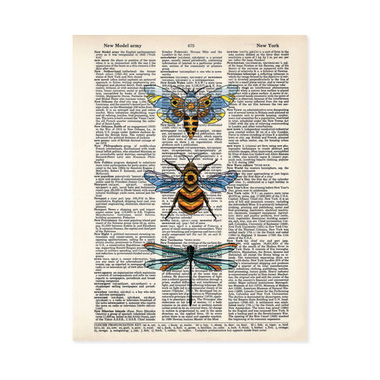Bugs Sweet Moth Bee and Dragonfly Dictionary Page Art