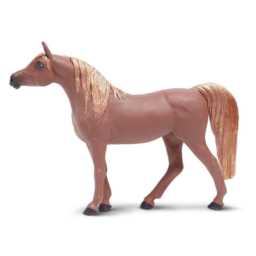 Arabian Mare - 151505