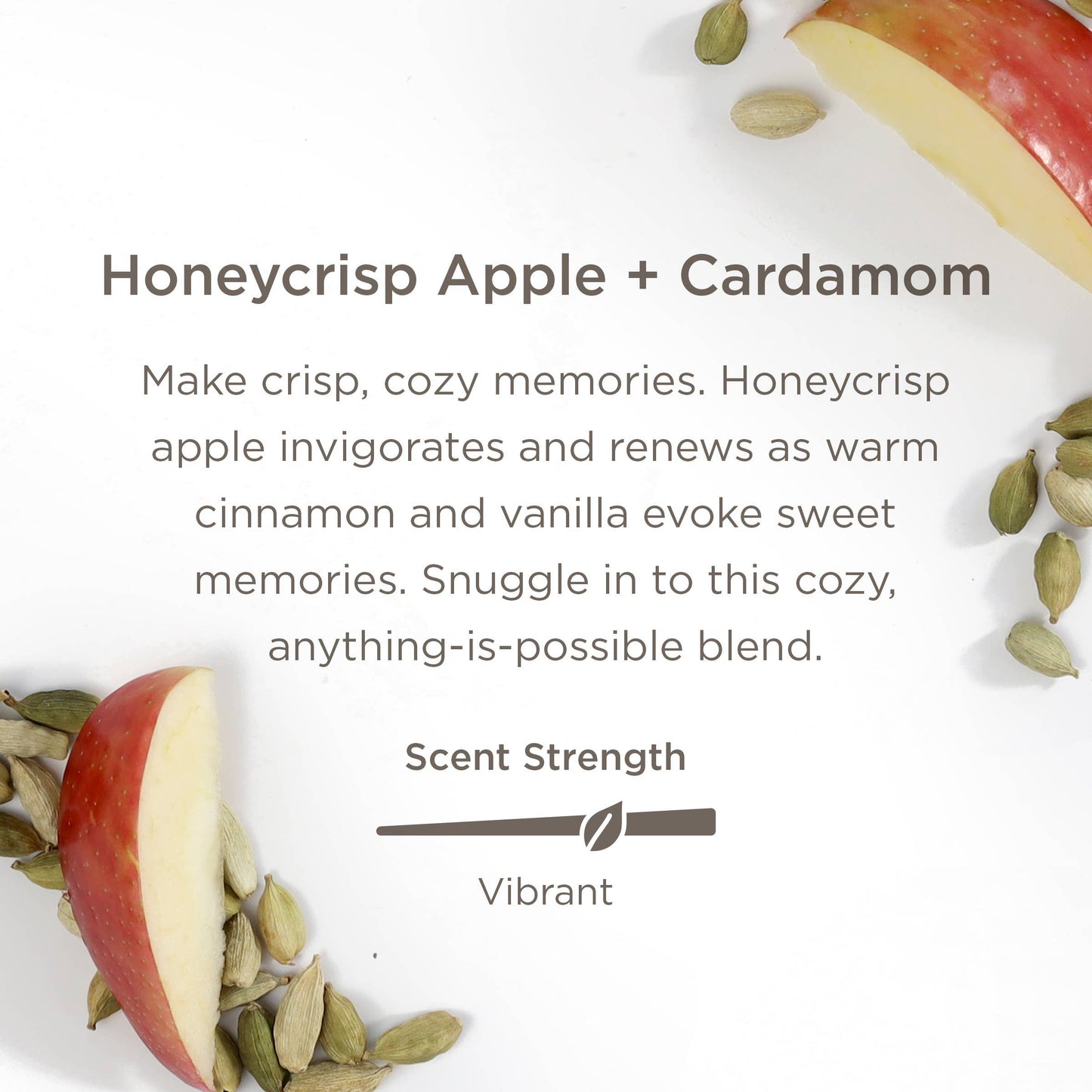 Plug Hub + Scent Pod Kit – Honeycrisp Apple + Cardamom