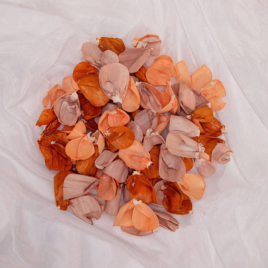 100 Petal Pack - Luminous