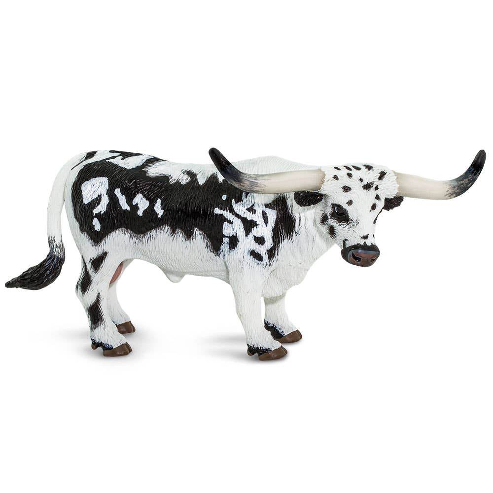 Texas Longhorn Bull - 100261
