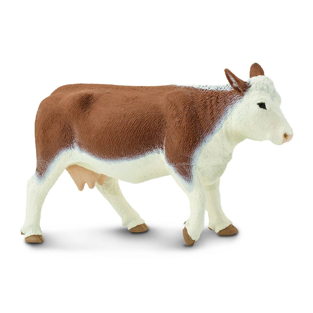 Hereford Cow - 160029
