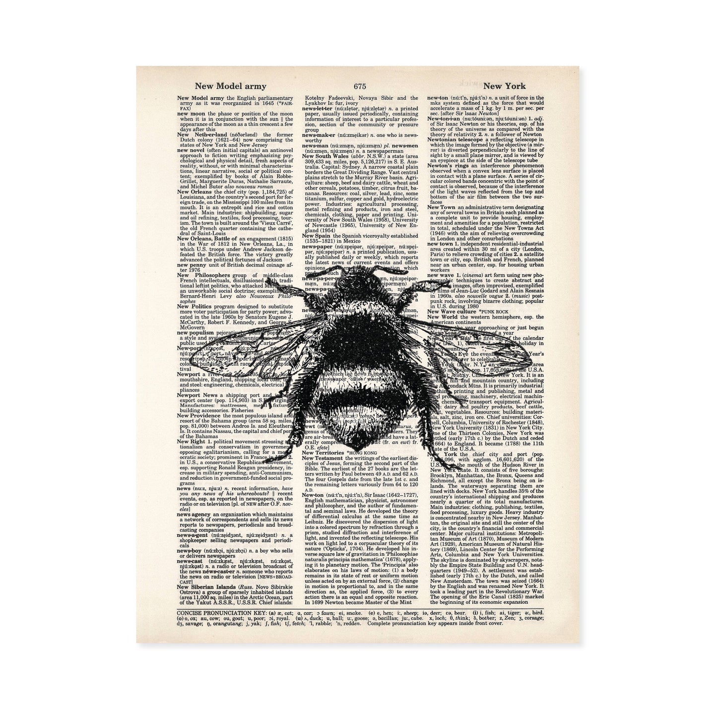 Bumble Bee - Vintage Etching on Dictionary Page
