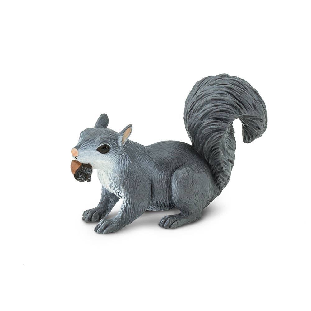 Gray Squirrel - 296129