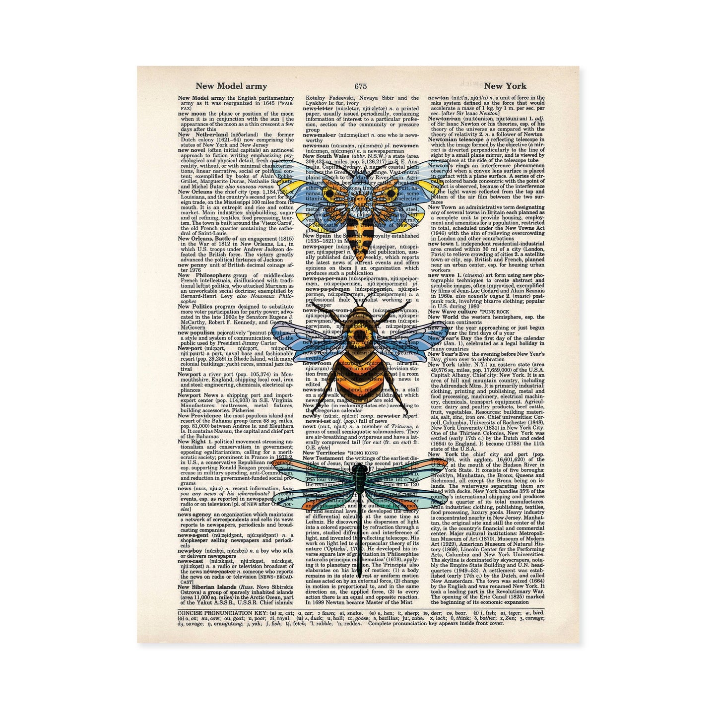 Bugs Sweet Moth Bee and Dragonfly Dictionary Page Art